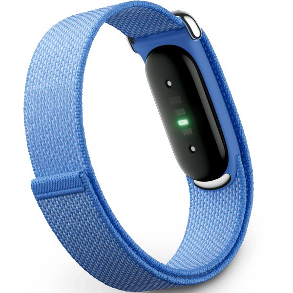 Умный браслет Google Fitbit Air Blue