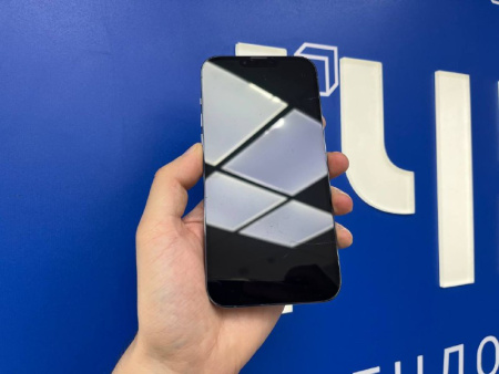 iPhone 13 Pro Max 256Gb Blue (TRD) 352990486623354