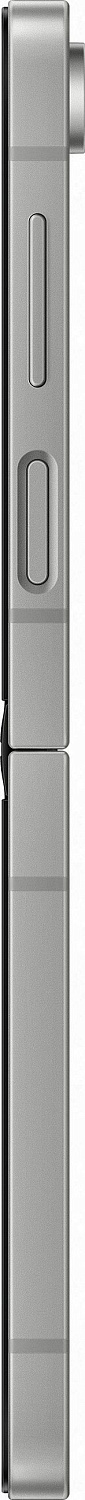 Samsung Galaxy Z Flip 6 12/256Gb Серебристый