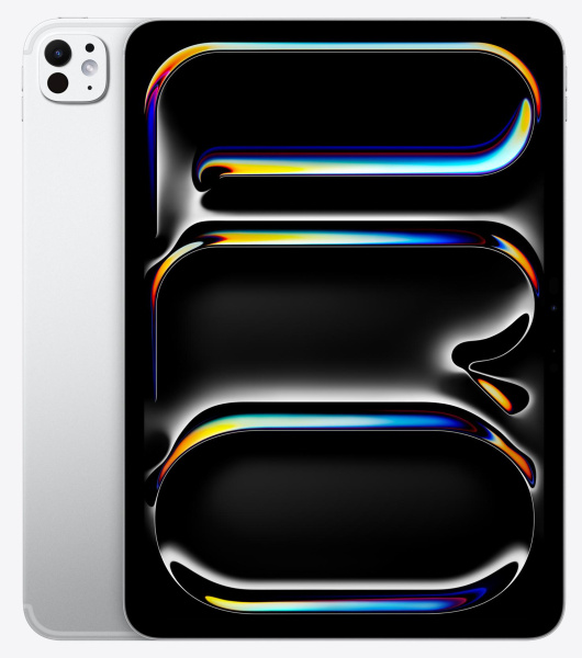 Apple iPad Pro 13&amp;quot; (2024) 256Gb Wi-Fi+Cellular Silver (M4)