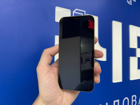 iPhone 12 Pro 128Gb Gold (TRD) 355942857845980