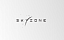Skyzone Skyzone
