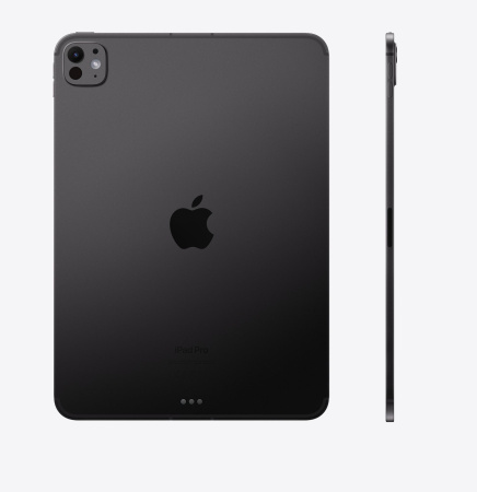 Apple iPad Pro 11" (2024) 256Gb Wi-Fi+Cellular Space Black (M4)